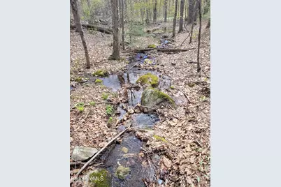 Lot 3 Town Hill Rd, Sandisfield, MA 01255 - Photo 4