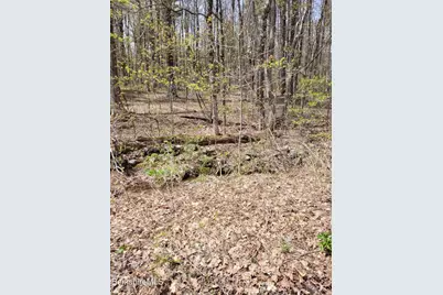 Lot 3 Town Hill Rd, Sandisfield, MA 01255 - Photo 10