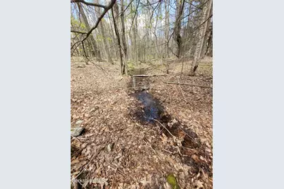 Lot 3 Town Hill Rd, Sandisfield, MA 01255 - Photo 6