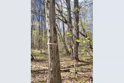 Lot 3 Town Hill Rd, Sandisfield, MA 01255 - Photo 8