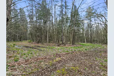 Stagecoach Rd, Becket, MA 01223 - Photo 4