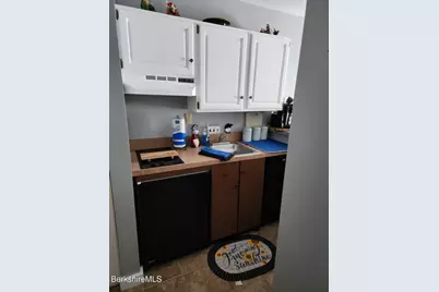 37 Corey Rd #521, Hancock, MA 01237 - Photo 8