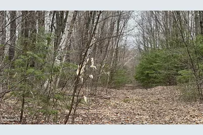 Lot19 Skyline Ridge Rd, Becket, MA 01223 - Photo 6