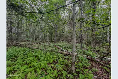 Lot9 Johnson Rd, Becket, MA 01223 - Photo 12