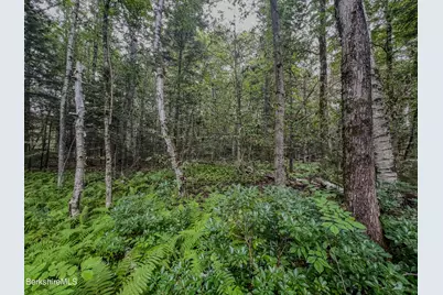 Lot9 Johnson Rd, Becket, MA 01223 - Photo 10