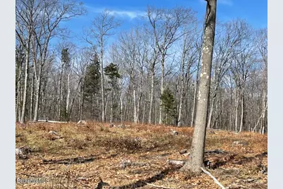 88 Church Rd, Florida, MA 01247 - Photo 2