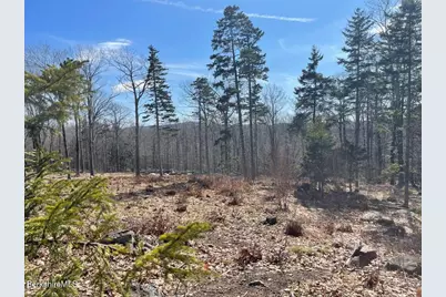 88 Church Rd, Florida, MA 01247 - Photo 4
