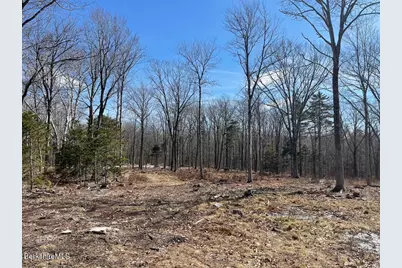 88 Church Rd, Florida, MA 01247 - Photo 8