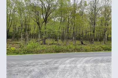 174 Tilda Hill Rd, Florida, MA 01247 - Photo 4