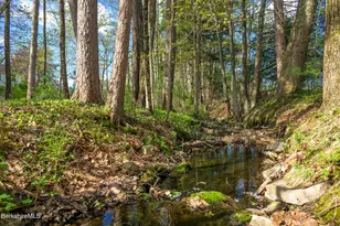 304 Hickey Hill Rd, Sheffield, MA 01257 - Photo 50