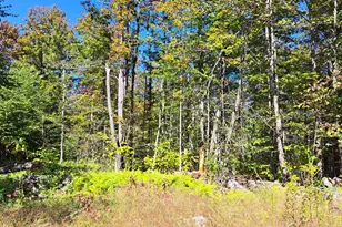Lot ''b'' Beulah Land Rd, Blandford, MA 01008 - Photo 1
