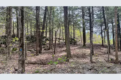 58 Stanley Rd, Otis, MA 01253 - Photo 4