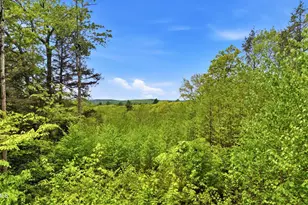 58 Stanley Rd, Otis, MA 01253 - Photo 1