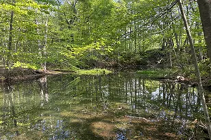 86 Miner Rd, Lanesborough, MA 01237 - Photo 4