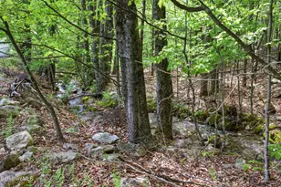 924 Henderson Rd, Williamstown, MA 01267 - Photo 40