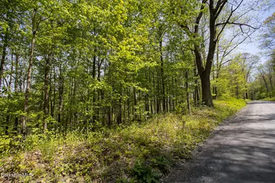 0 Goose Pond (Lot #4) Rd, Tyringham, MA 01264 - Photo 6