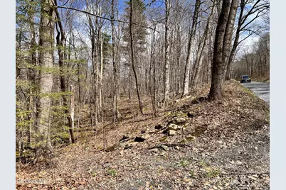 0 Goose Pond (Lot #4) Rd, Tyringham, MA 01264 - Photo 4