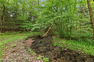 888 Hancock Rd, Williamstown, MA 01267 - Photo 68
