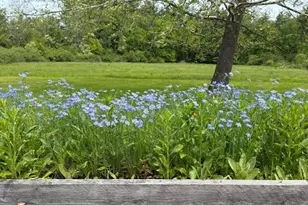 42 Mt Washington Rd, Great Barrington, MA 01230 - Photo 18