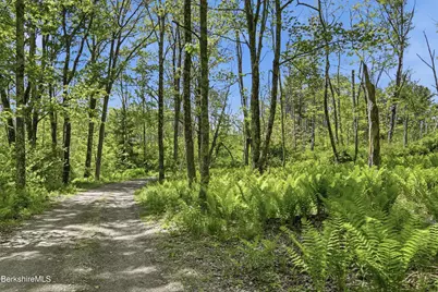 267 East St, Mount Washington, MA 01258 - Photo 4