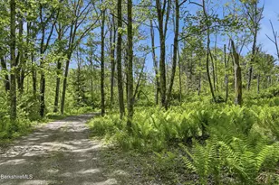 267 East St, Mount Washington, MA 01258 - Photo 4