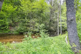 49 Parish Rd, Worthington, MA 01098 - Photo 28