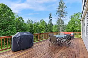 46 Woodlawn Ave, North Adams, MA 01247 - Photo 32