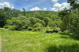 3 Apple St, Stockbridge, MA 01262 - Photo 12