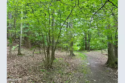 Lake Mansfield Rd, Great Barrington, MA 01230 - Photo 6