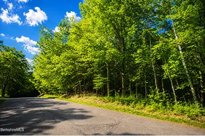 Forest Hill Dr, Hinsdale, MA 01235 - Photo 4