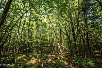 Forest Hill Dr, Hinsdale, MA 01235 - Photo 8