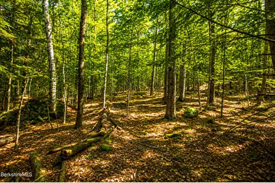 Forest Hill Dr, Hinsdale, MA 01235 - Photo 6