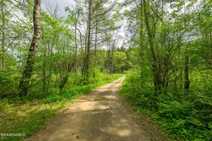 13 Tremper Property Assn Rd, Canaan, NY 12029 - Photo 20