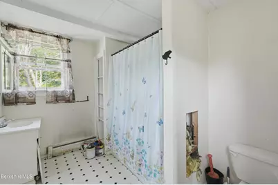 110 Elizabeth St, Pittsfield, MA 01201 - Photo 44