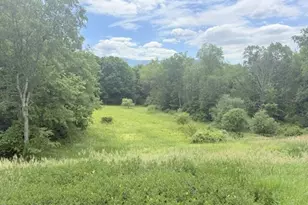 324 Oblong Rd, Williamstown, MA 01267 - Photo 36