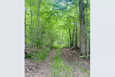 Lot 0 Greylock Estates Rd, Lanesborough, MA 01237 - Photo 2
