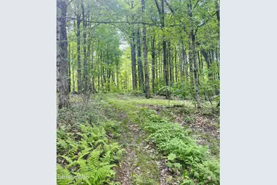 Lot 0 Greylock Estates Rd, Lanesborough, MA 01237 - Photo 4