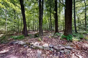 38 Hubbard St, Lenox, MA 01240 - Photo 22