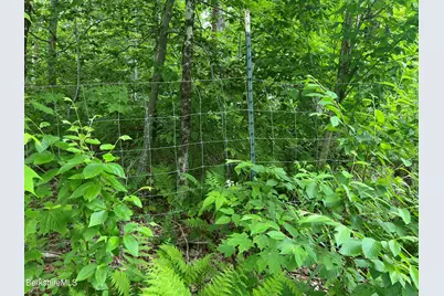 217 Lot 3 Jacobs Ladder Rd Rd, Becket, MA 01223 - Photo 6