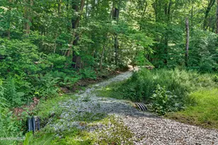 224 Boardman St, Sheffield, MA 01257 - Photo 56