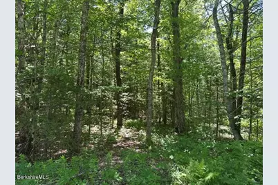 Lot108.1 Woodmere Rd, Becket, MA 01223 - Photo 10