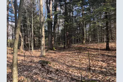 0 Dimmock Rd, Otis, MA 01253 - Photo 6