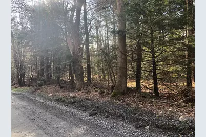 0 Dimmock Rd, Otis, MA 01253 - Photo 1