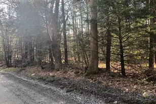 0 Dimmock Rd, Otis, MA 01253 - Photo 1