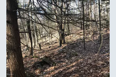 0 Dimmock Rd, Otis, MA 01253 - Photo 8