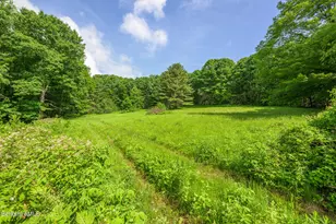 161 Beartown Mountain Rd, Monterey, MA 01245 - Photo 56