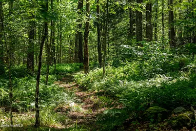 99 Beartown Mountain Rd, Monterey, MA 01245 - Photo 56