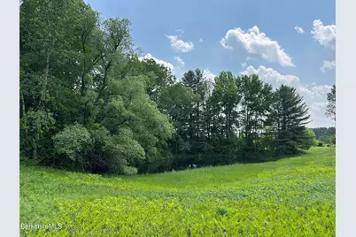 0 Swamp Rd, Richmond, MA 01254 - Photo 8