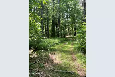 0 Whites Hill Rd, Alford, MA 01266 - Photo 8