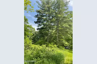0 Whites Hill Rd, Alford, MA 01266 - Photo 14
